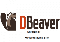 DBeaver Enterprise 21.1.2 Crack + with Activation Key Free Download (2021)