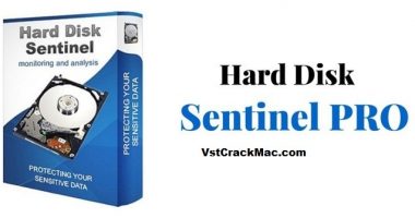 Hard Disk Sentinel Pro 5.70.6 Crack + License Key Free 2021