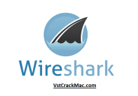 Wireshark 3.4.8 Crack (32/64bit) Serial Key Free Download