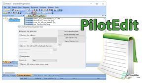 PilotEdit 16.9.0 Crack + (100% Working) Activation Key 2022